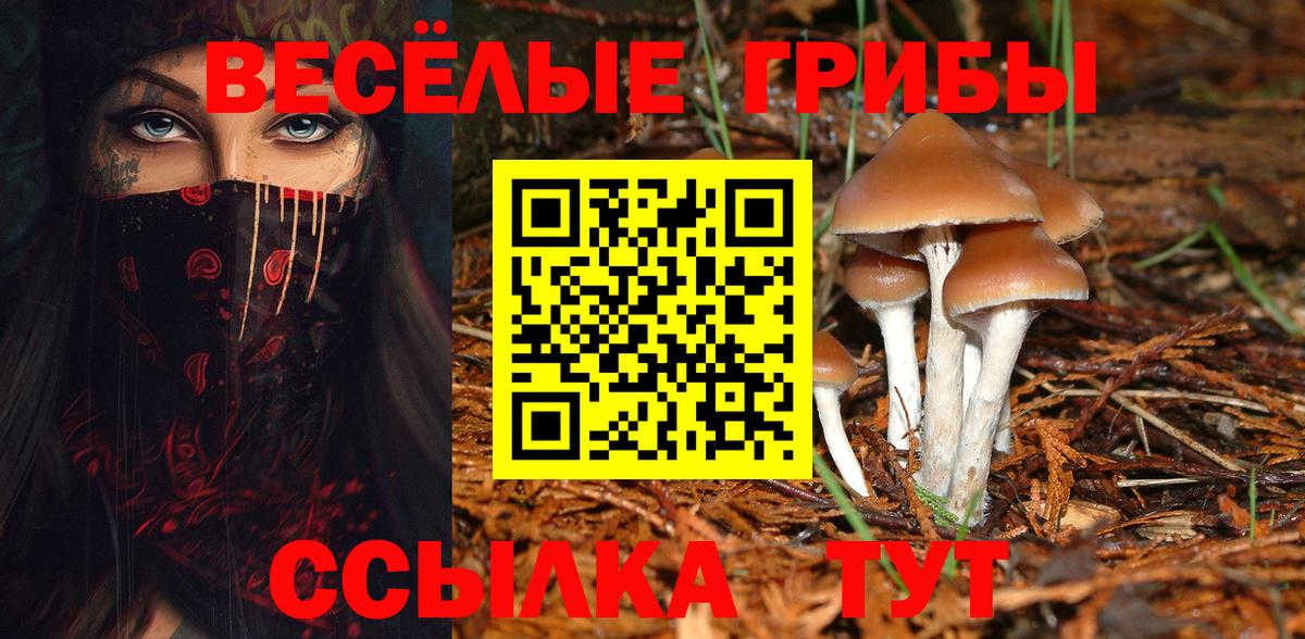 Псилоцибиновые грибы Cubensis  Вход с VPN  Галлюциногенные грибы мицелий  Ахтубинск 