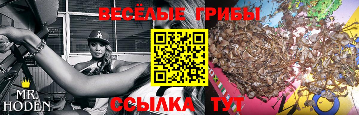 Галлюциногенные грибы мухоморы Ахтубинск